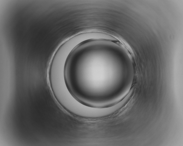 X0000101430813200807211149