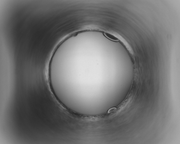 X0000101430815200807211149