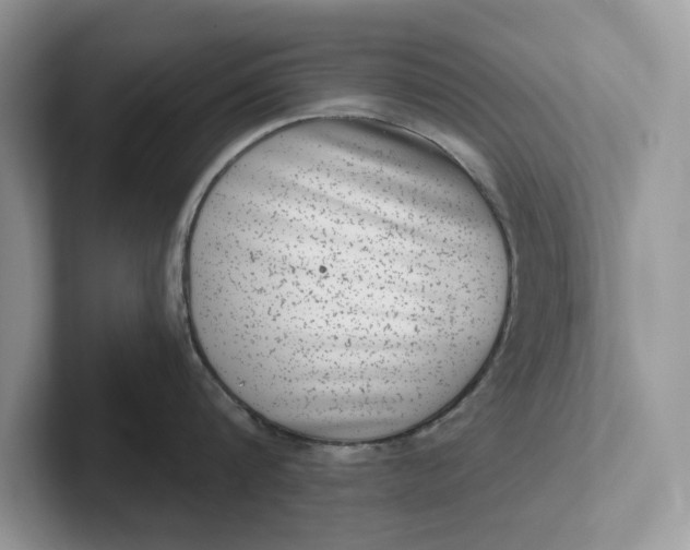 X0000101430816200807211149