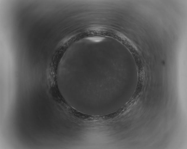 X0000101430822200807211148