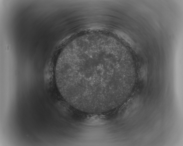 X0000101430824200807211148