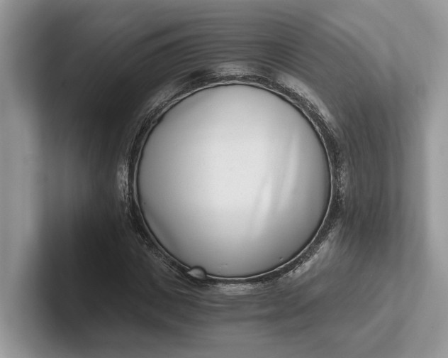 X0000101430825200807211148