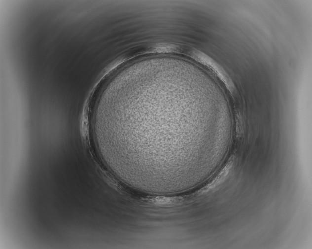 X0000101430827200807211148