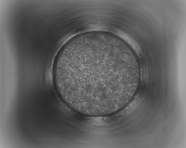 X0000101430828200807211148