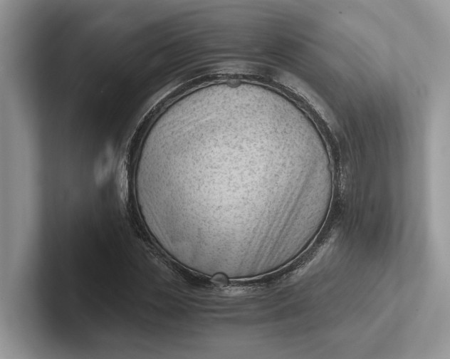 X0000101430829200807211148