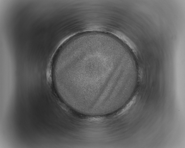 X0000101430830200807211148