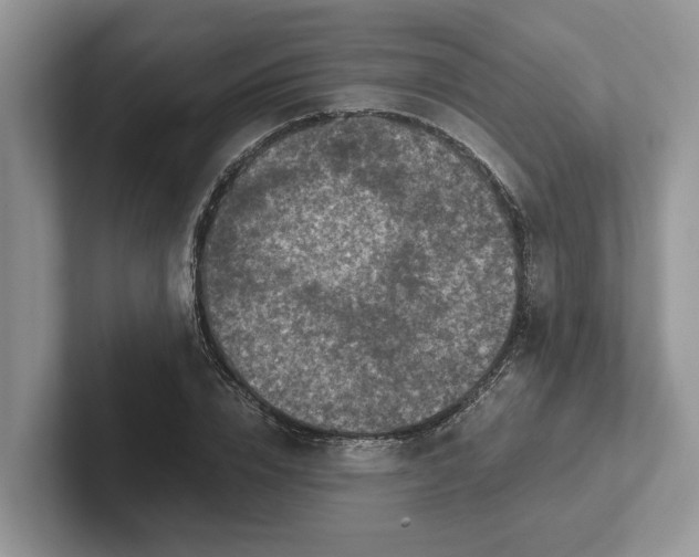 X0000101430832200807211148