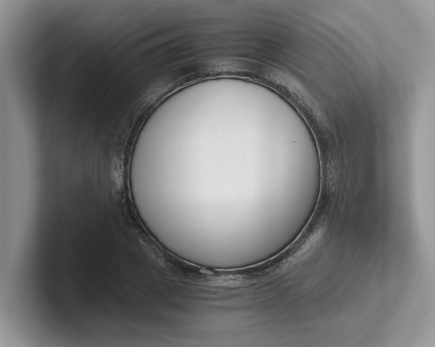 X0000101430833200807211148