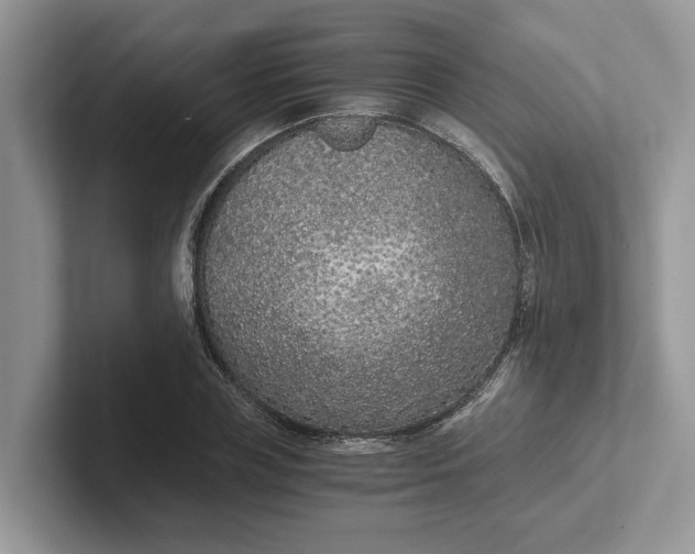 X0000101430835200807211148