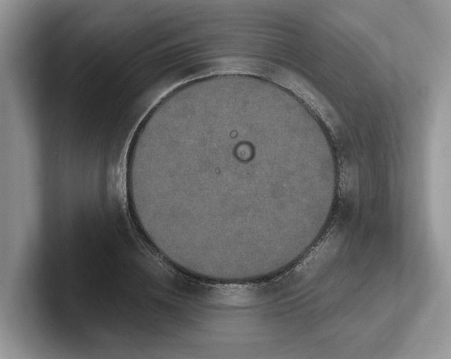 X0000101430836200807211148