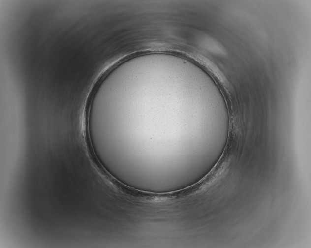 X0000101430839200807211148