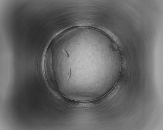 X0000101430840200807211148