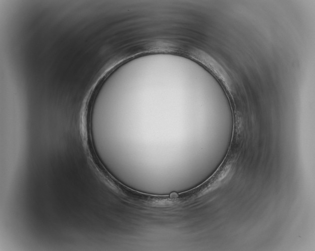 X0000101430843200807211148