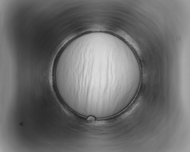 X0000101430845200807211148