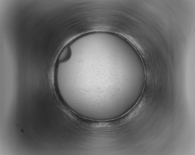 X0000101430846200807211148