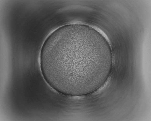 X0000101430847200807211148