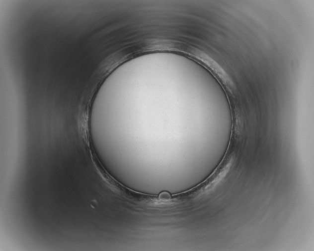 X0000101430849200807211148