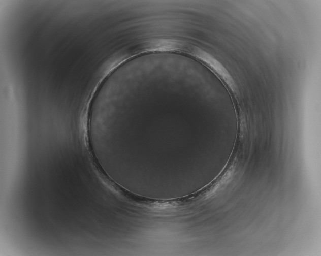 X0000101430850200807211148