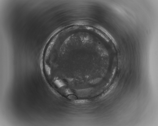 X0000101430853200807211148