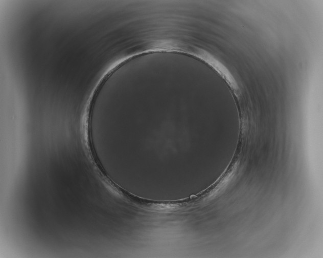 X0000101430854200807211148