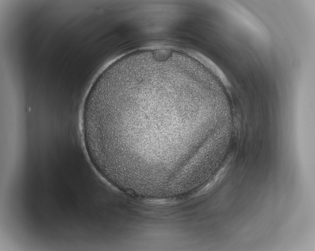 X0000101430855200807211148