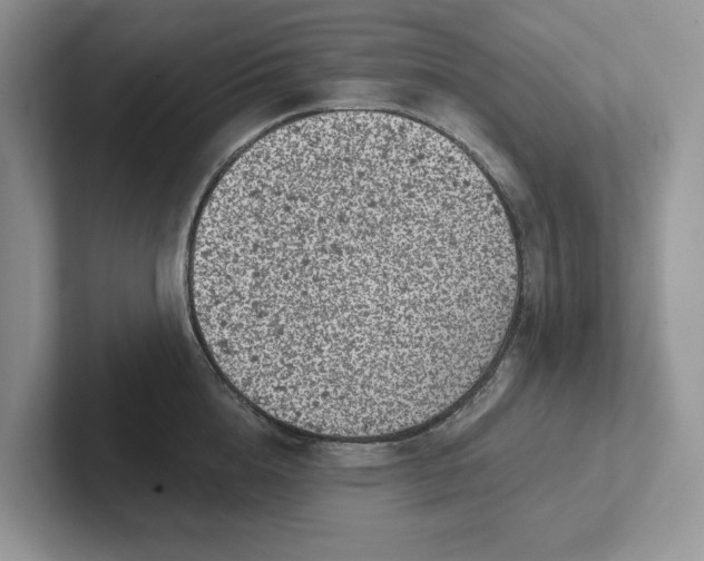 X0000101430856200807211148