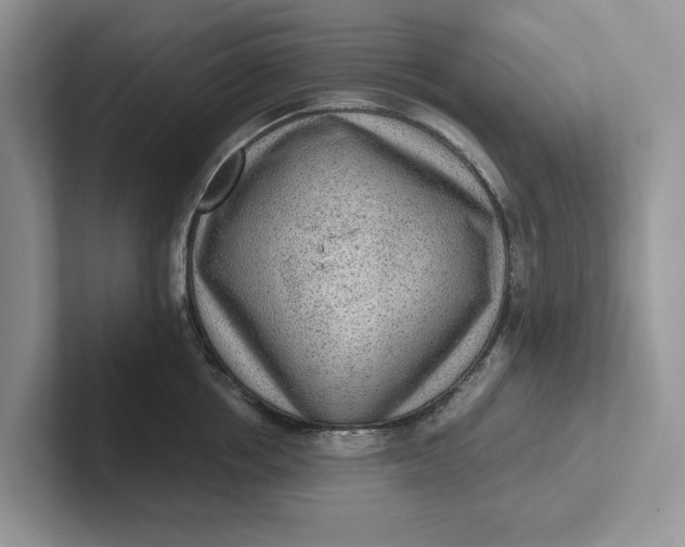 X0000101430858200807211148