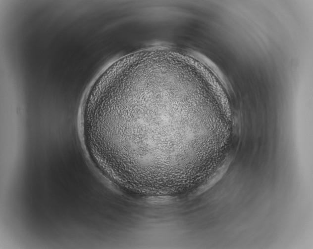 X0000101430859200807211148