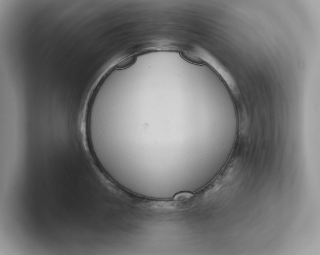 X0000101430861200807211148