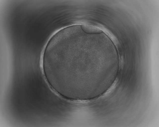 X0000101430862200807211149