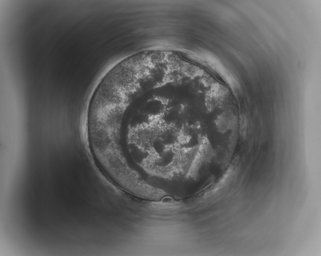 X0000101430863200807211149