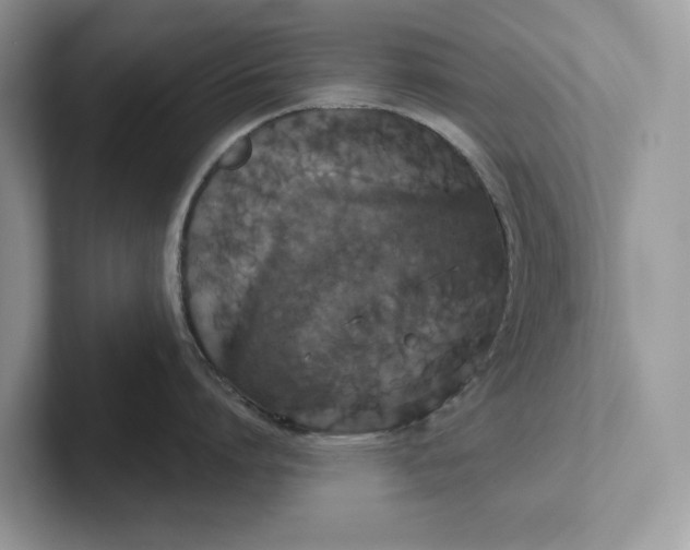 X0000101430864200807211149