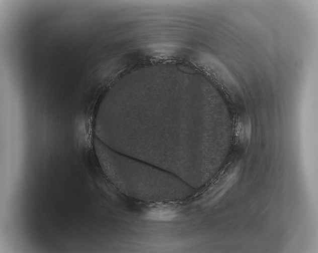 X0000101430868200807211148