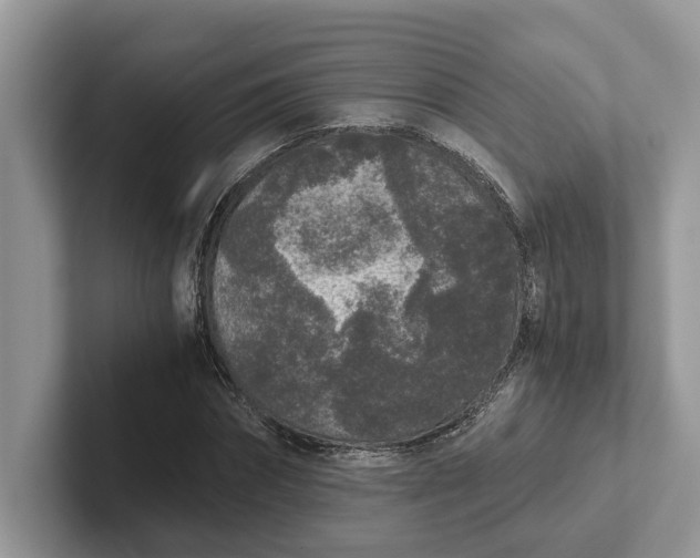 X0000101430874200807211148