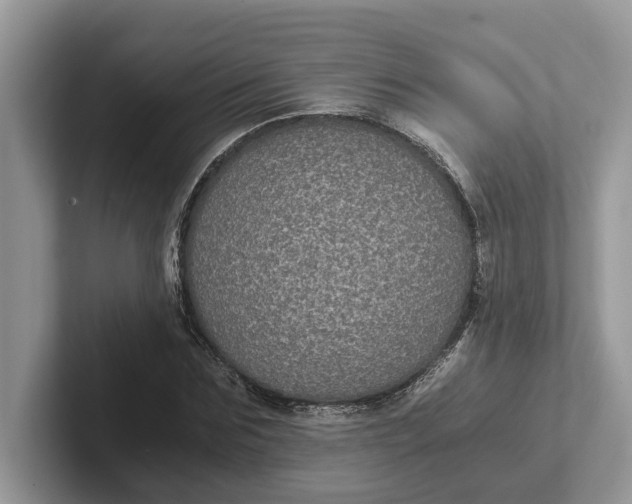 X0000101430875200807211148