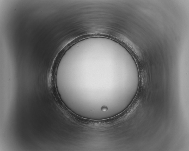 X0000101430876200807211148