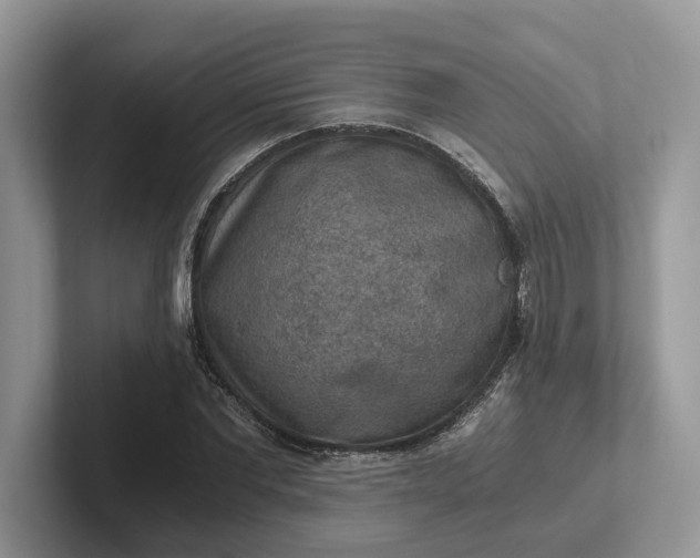 X0000101430877200807211148