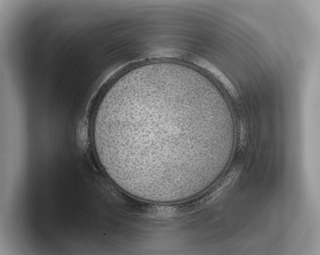 X0000101430878200807211148