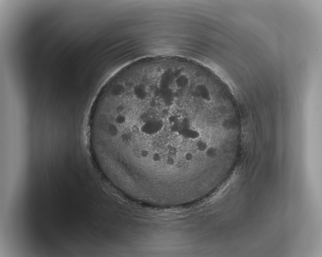 X0000101430879200807211148