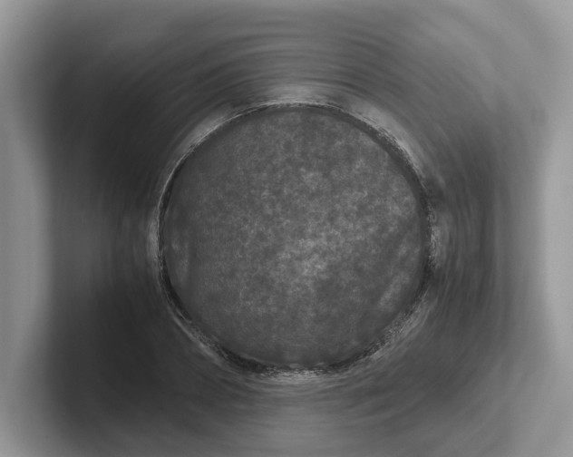 X0000101430882200807211148