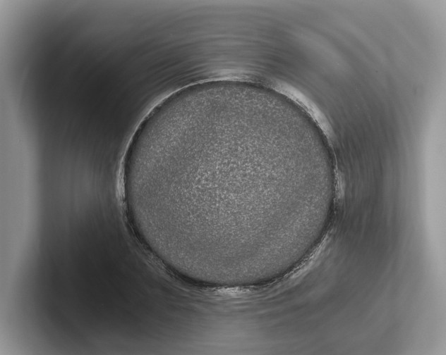 X0000101430883200807211148