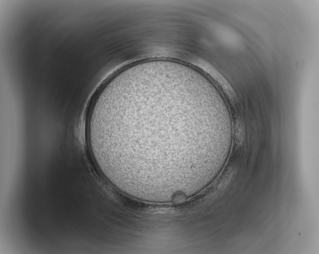 X0000101430886200807211148