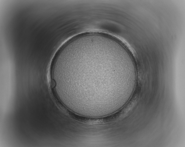 X0000101430887200807211148