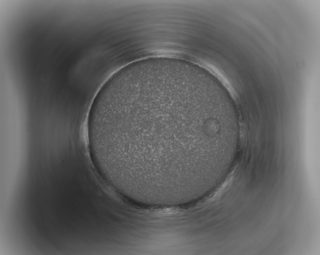 X0000101430891200807211148