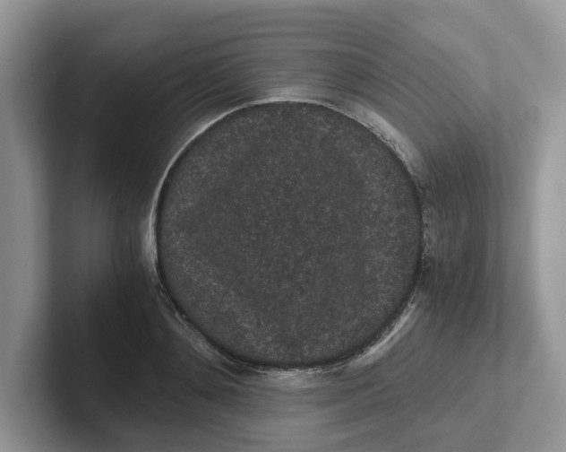 X0000101430892200807211148