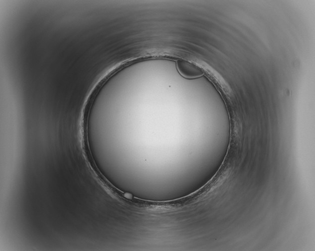 X0000101430894200807211147