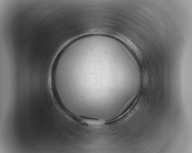 X0000101430896200807211147