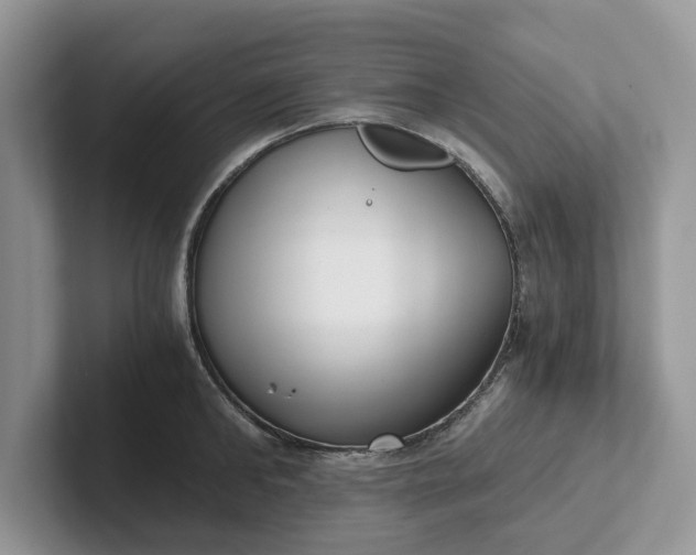 X0000101430902200807211147