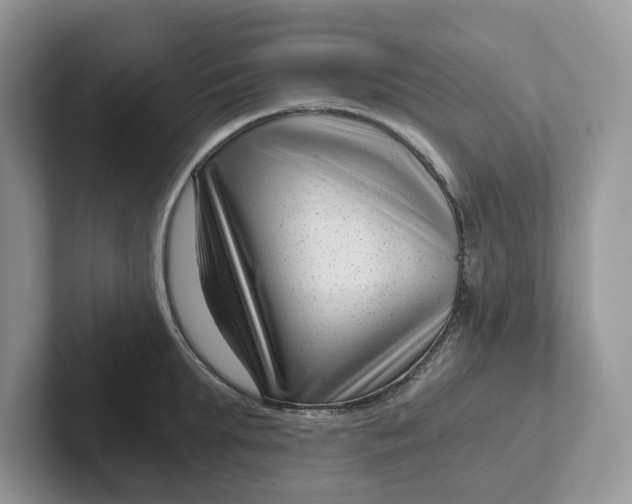 X0000101430903200807211147