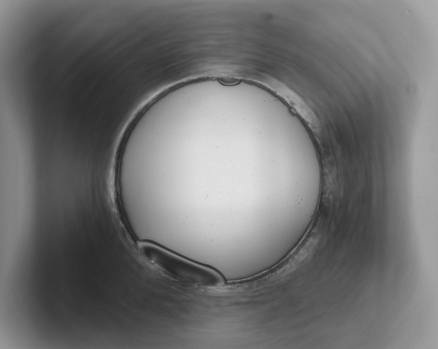 X0000101430904200807211147